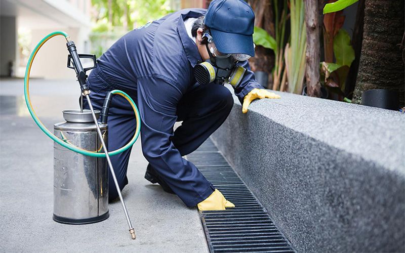 Bitlis sinek ilaçlama